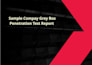 perform web application penetration testing with detailed report